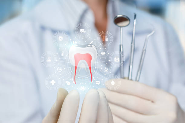 Best Dental Fillings (Composite and Amalgam)  in Canyon Creek, WA